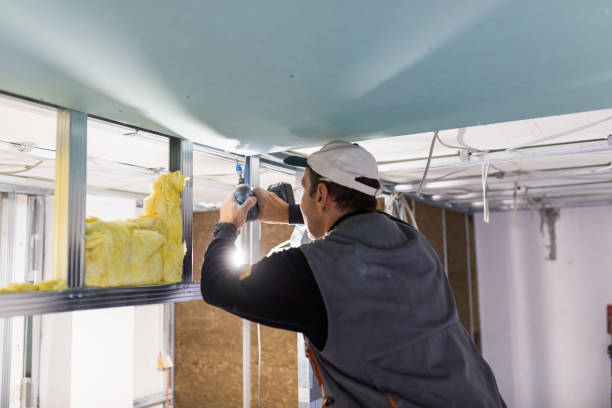 Best Eco-Friendly Insulation in Mianna, AR