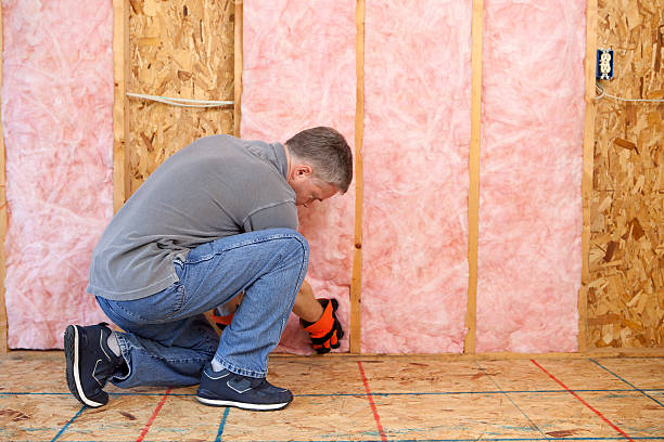 Best Specialized Insulation Services in Mianna, AR